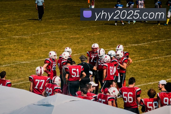 壹号娱乐官网平台生态图