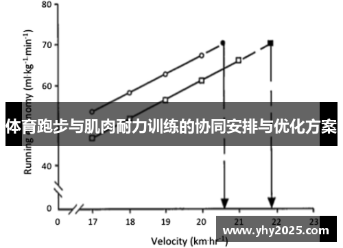 体育跑步与肌肉耐力训练的协同安排与优化方案