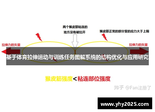 基于体育拉伸运动与训练任务图解系统的结构优化与应用研究